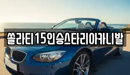 경기 가평군 청평면 렌트카 전문 쏠라티15인승스타리아카니발