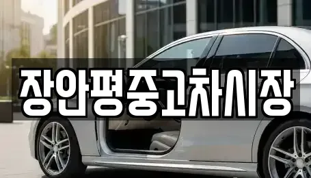 경기 가평군 청평면 중고차 전문 장안평중고차시장