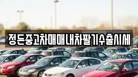 경기 고양시 덕양구 고양동 중고차 전문 정든중고차매매내차팔기수출시세