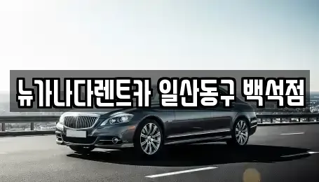 경기 고양시 일산동구 단기렌트카 전문 뉴가나다렌트카 일산동구 백석점