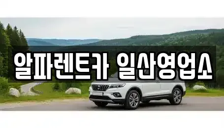 경기 고양시 일산동구 렌트카,단기렌트카,장기렌트카,중고차,중고차매매,중고차매입