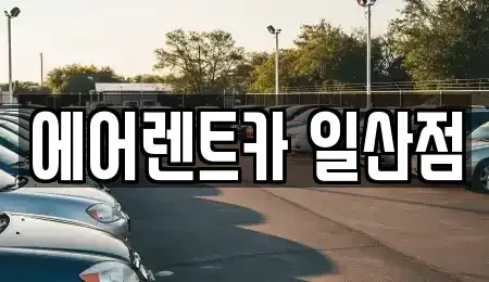 경기 고양시 일산동구 렌트카 전문 에어렌트카 일산점