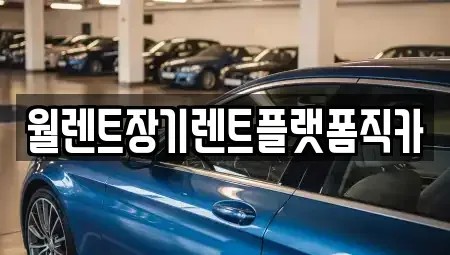 경기 고양시 일산동구 장기렌트카 전문 월렌트장기렌트플랫폼직카