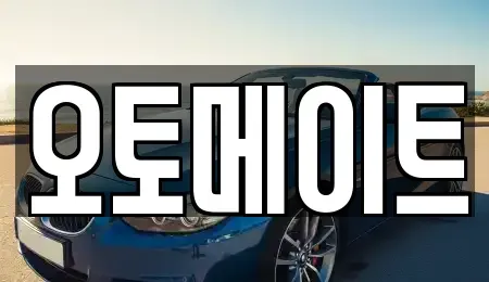 경기 고양시 일산동구 중고차 전문 오토메이트