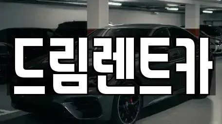 경기 과천시 원문동 렌트카 전문 드림렌트카