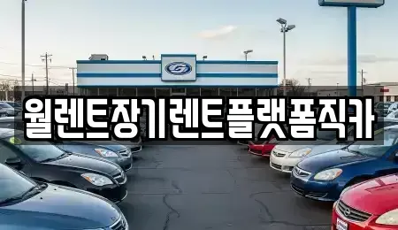 경기 과천시 원문동 장기렌트카 전문 월렌트장기렌트플랫폼직카