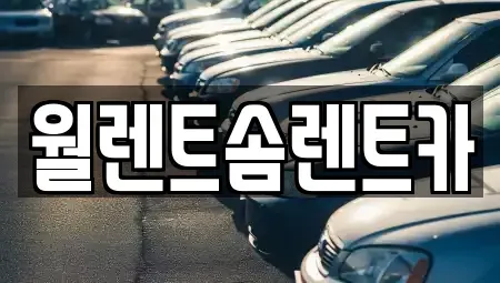 경기 과천시 중앙동 렌트카 전문 월렌트솜렌트카