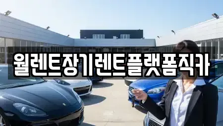 경기 과천시 중앙동 장기렌트카 전문 월렌트장기렌트플랫폼직카