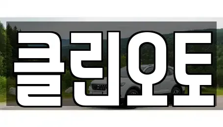 경기 과천시 중앙동 중고차 전문 클린오토