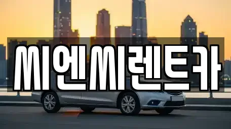 경기 광주시 도척면 렌트카 전문 씨엔씨렌트카