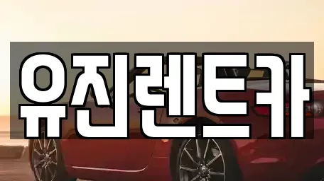 경기 광주시 도척면 렌트카 전문 유진렌트카