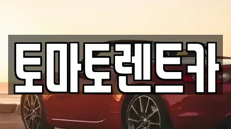 경기 광주시 도척면 렌트카 전문 토마토렌트카