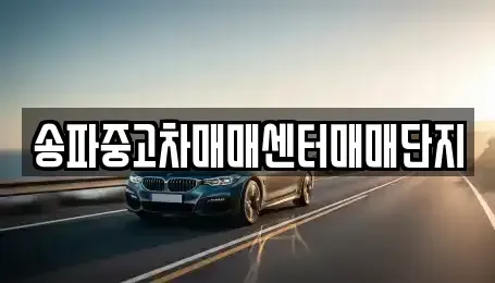 경기 광주시 도척면 중고차 전문 송파중고차매매센터매매단지