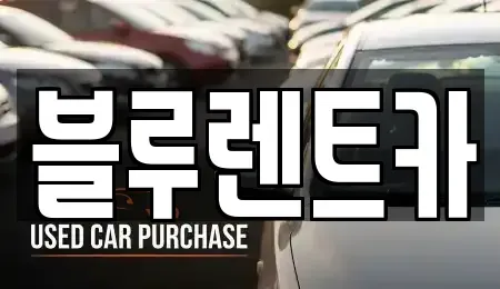 경기 광주시 추자동 장기렌트카 전문 블루렌트카