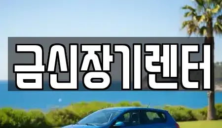 경기 김포시 걸포동 단기렌트카 전문 금신장기렌터