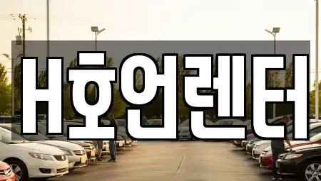 경기 김포시 걸포동 렌트카 전문 H호언렌터