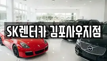 경기 김포시 걸포동 렌트카,단기렌트카,장기렌트카,중고차,중고차매매,중고차매입