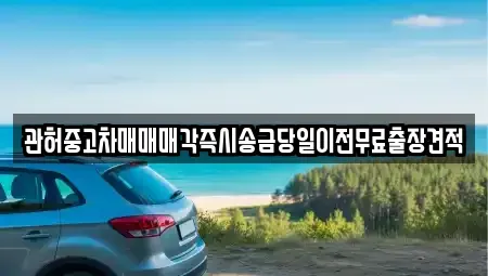 경기 김포시 걸포동 중고차 전문 관허중고차매매매각즉시송금당일이전무료출장견적