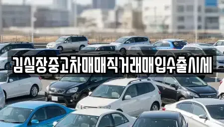 경기 김포시 걸포동 중고차 전문 김실장중고차매매직거래매입수출시세