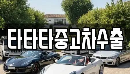 경기 김포시 걸포동 중고차 전문 타타타중고차수출