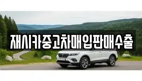 경기 김포시 걸포동 중고차매입 전문 재시카중고차매입판매수출