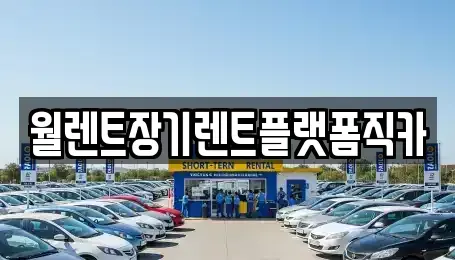 경기 남양주시 별내면 장기렌트카 전문 월렌트장기렌트플랫폼직카
