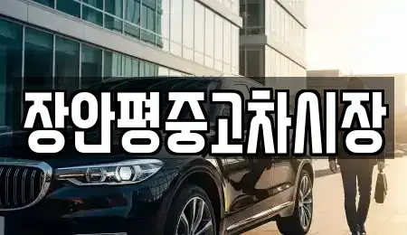 경기 남양주시 별내면 중고차매매 전문 장안평중고차시장