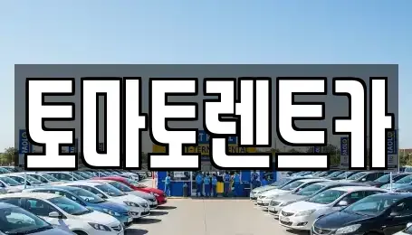 경기 동두천시 광암동 렌트카 전문 토마토렌트카
