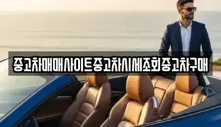 경기 부천시 소사구 송내동 중고차매매 전문 중고차매매사이트중고차시세조회중고차구매