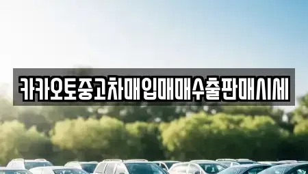 경기 부천시 소사구 송내동 중고차매매 전문 카카오토중고차매입매매수출판매시세