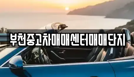 경기 부천시 오정구 내동 중고차매매 전문 부천중고차매매센터매매단지