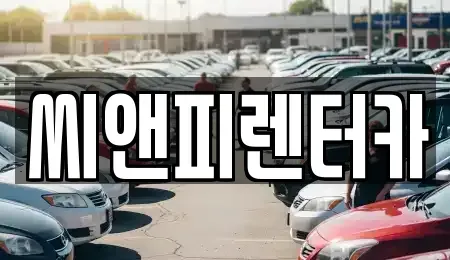 경기 부천시 원미구 약대동 렌트카 전문 씨앤피렌터카