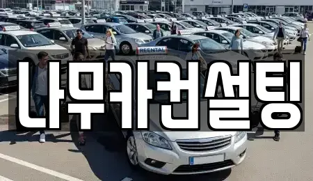 경기 부천시 원미구 약대동 장기렌트카 전문 나무카컨설팅