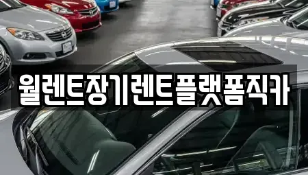경기 부천시 원미구 약대동 장기렌트카 전문 월렌트장기렌트플랫폼직카