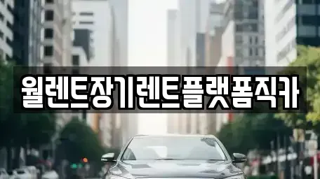 경기 부천시 원미구 약대동 장기렌트카 전문 월렌트장기렌트플랫폼직카