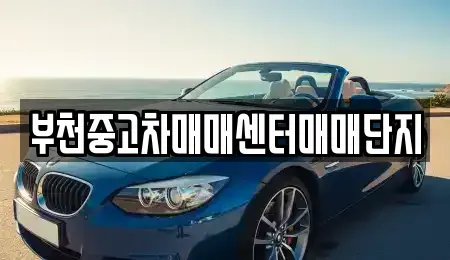 경기 부천시 원미구 약대동 중고차 전문 부천중고차매매센터매매단지