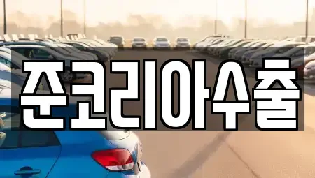 경기 부천시 원미구 약대동 중고차매매 전문 준코리아수출