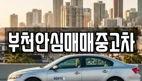 경기 부천시 원미구 역곡동 중고차매매 전문 부천안심매매중고차