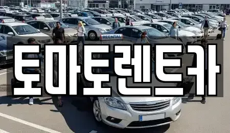 경기 성남시 수정구 고등동 렌트카 전문 토마토렌트카