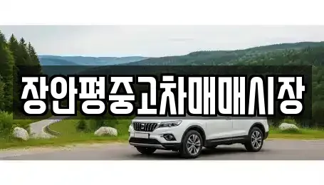 경기 성남시 수정구 고등동 중고차매매 전문 장안평중고차매매시장