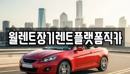 경기 성남시 중원구 하대원동 장기렌트카 전문 월렌트장기렌트플랫폼직카