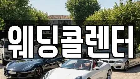 경기 수원시 권선구 탑동 단기렌트카 전문 웨딩콜렌터