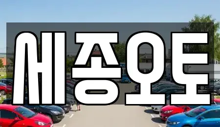 경기 수원시 권선구 탑동 렌트카 전문 세종오토