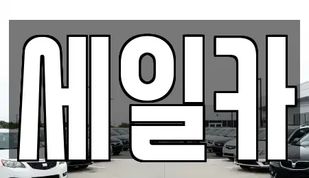 경기 수원시 권선구 평리동 중고차 전문 세일카