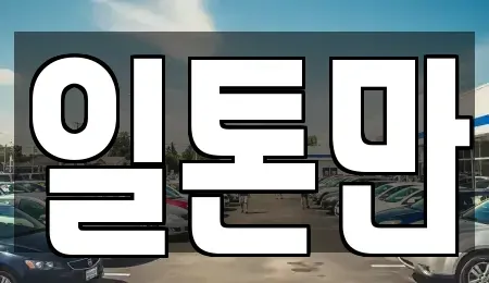 경기 수원시 권선구 평리동 중고차 전문 일톤만