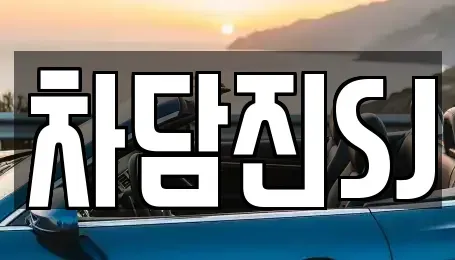 경기 수원시 권선구 평리동 중고차 전문 차담진SJ