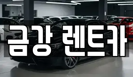 경기 수원시 팔달구 구천동 렌트카 전문 금강 렌트카