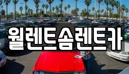 경기 수원시 팔달구 구천동 렌트카 전문 월렌트솜렌트카