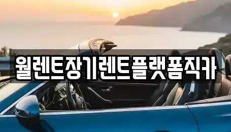경기 수원시 팔달구 구천동 장기렌트카 전문 월렌트장기렌트플랫폼직카