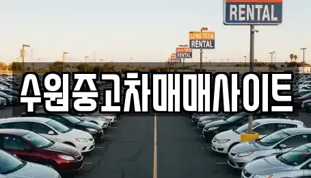 경기 수원시 팔달구 구천동 중고차 전문 수원중고차매매사이트